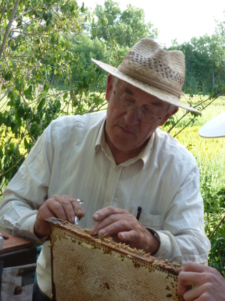 Entnahme einer Probe aus einer Honigwabe